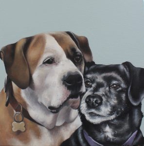 Pet Portraits